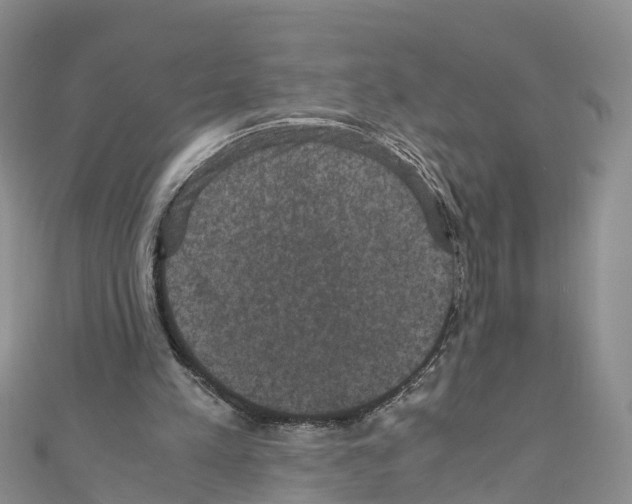 X0000110710197200907241152