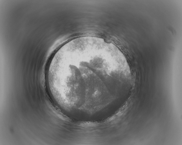 X0000110710198200907241152