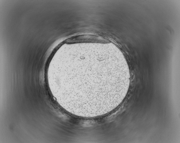 X0000110710200200907241152