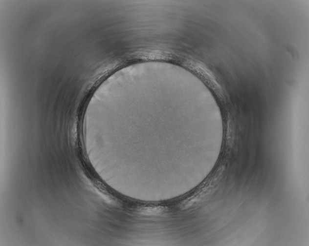 X0000110710202200907241152