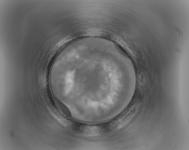 X0000110710203200907241152