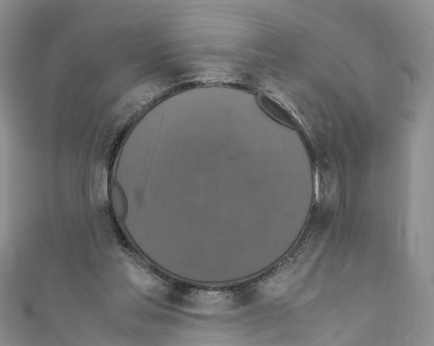 X0000110710205200907241152
