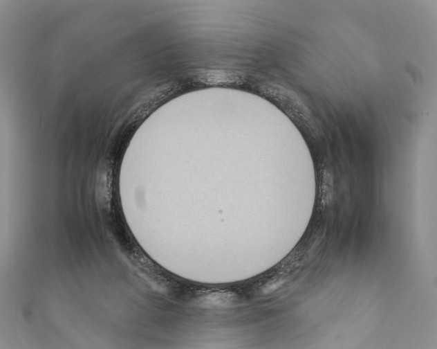 X0000110710210200907241152