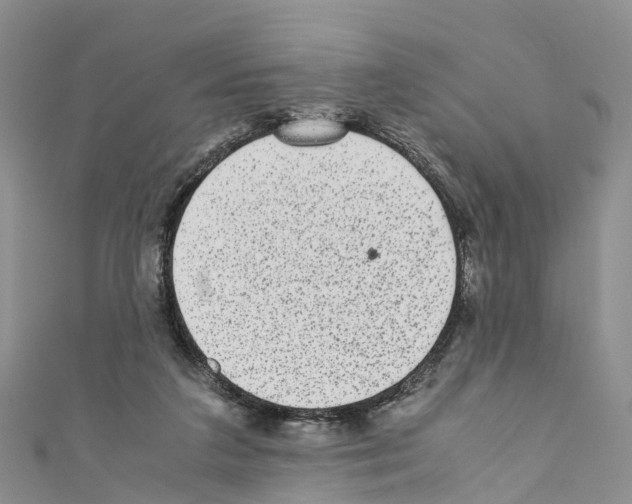 X0000110710211200907241152