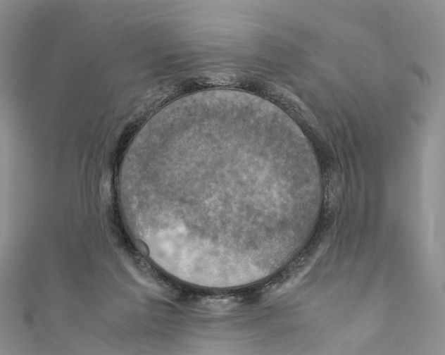 X0000110710213200907241152