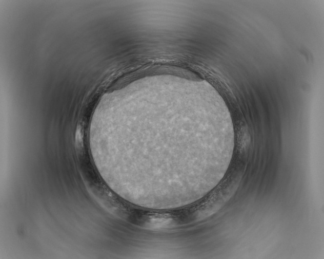 X0000110710214200907241152