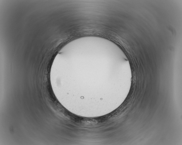 X0000110710215200907241152