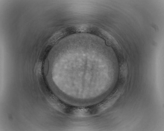 X0000110710217200907241152