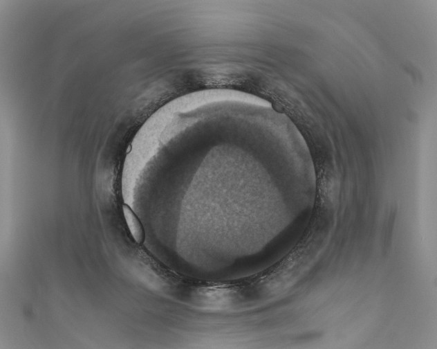 X0000110710219200907241152