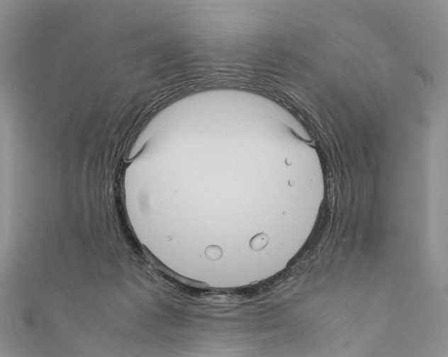 X0000110710221200907241152