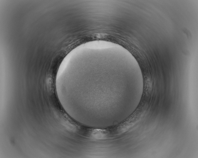 X0000110710222200907241152