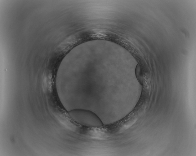 X0000110710223200907241152