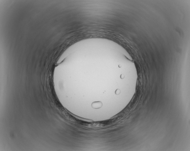 X0000110710225200907241152