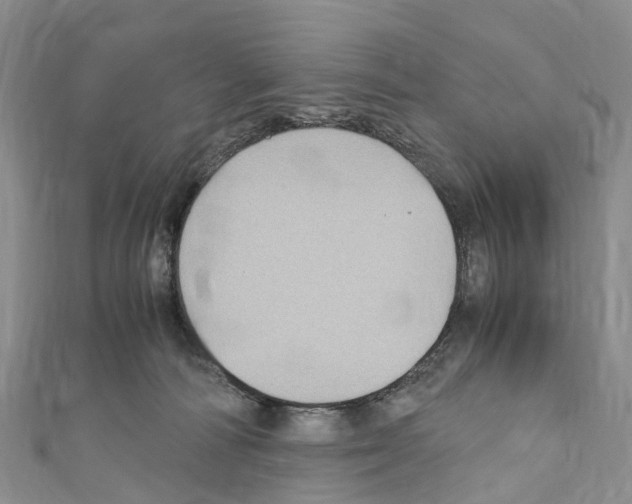X0000110710226200907241152