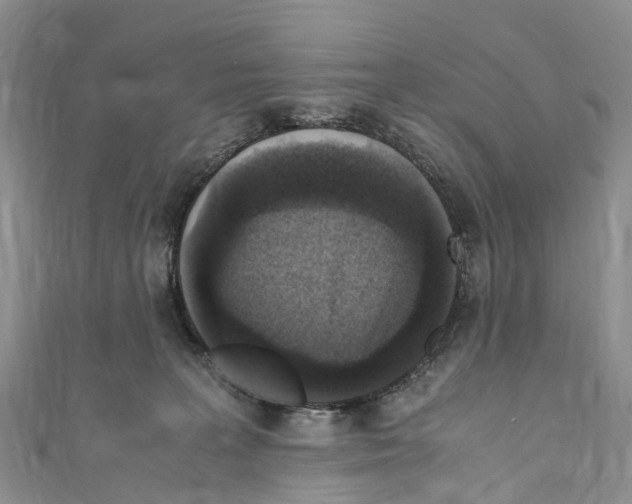 X0000110710227200907241152