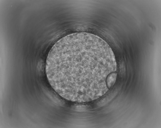 X0000110710228200907241152