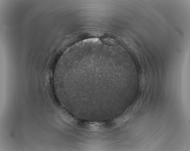 X0000110710229200907241152