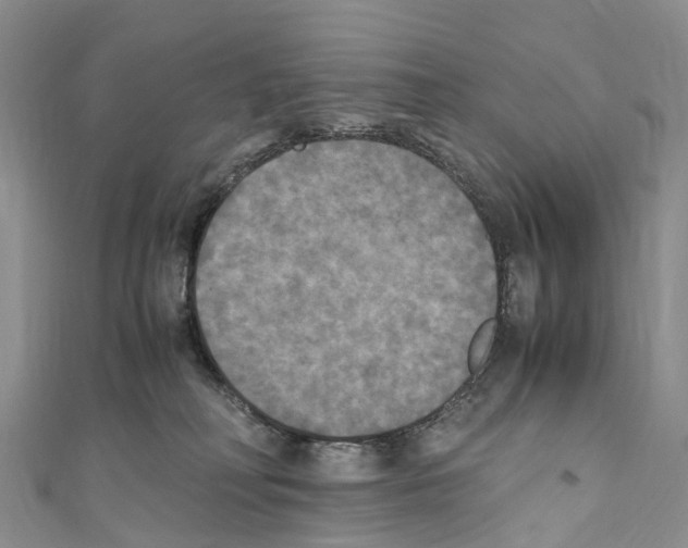 X0000110710230200907241152
