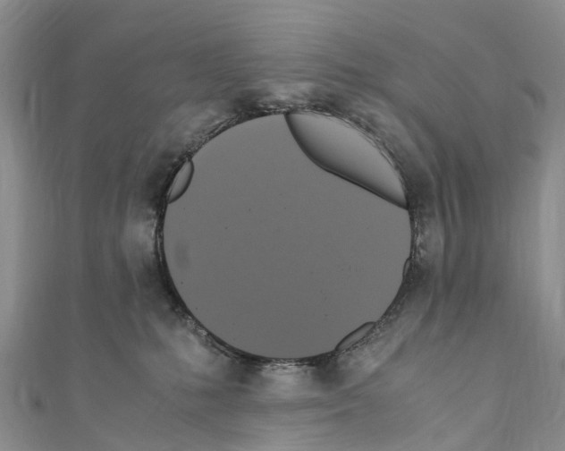 X0000110710231200907241152