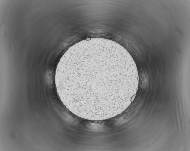 X0000110710232200907241152