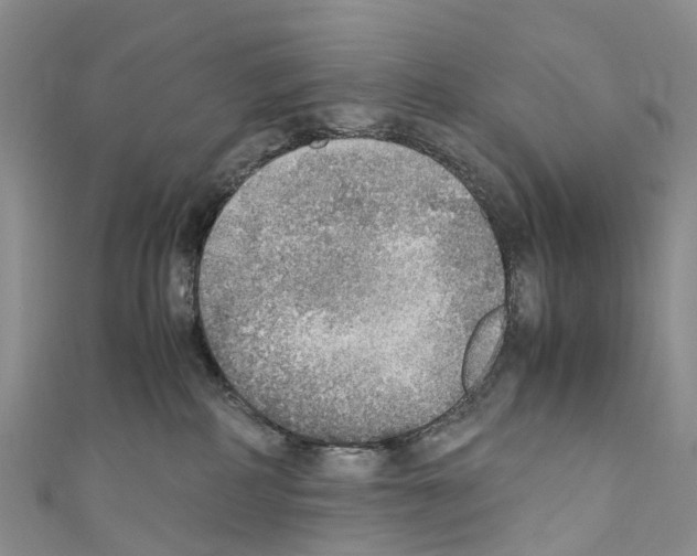 X0000110710234200907241152