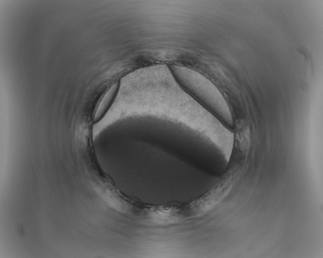 X0000110710235200907241152