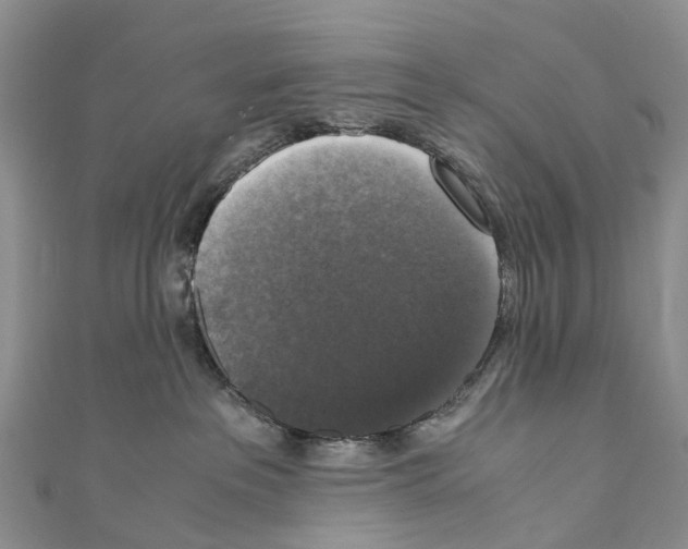 X0000110710237200907241152