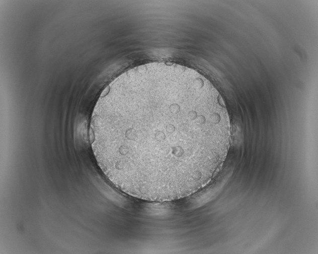 X0000110710238200907241152