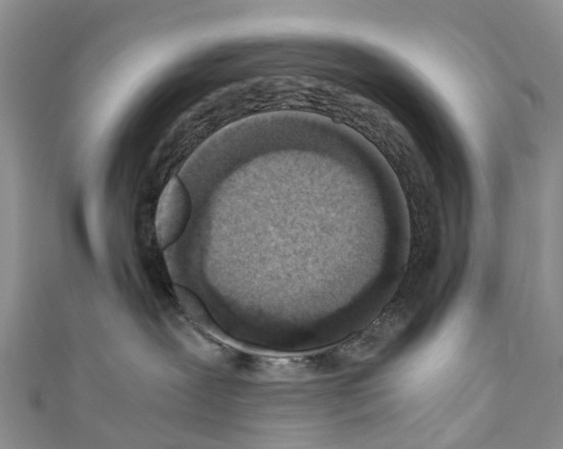X0000110710239200907241152