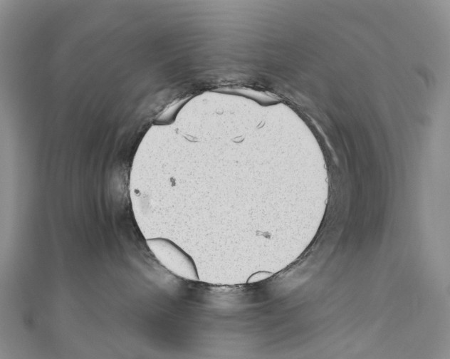 X0000110710240200907241152