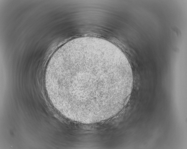X0000110710241200907241151