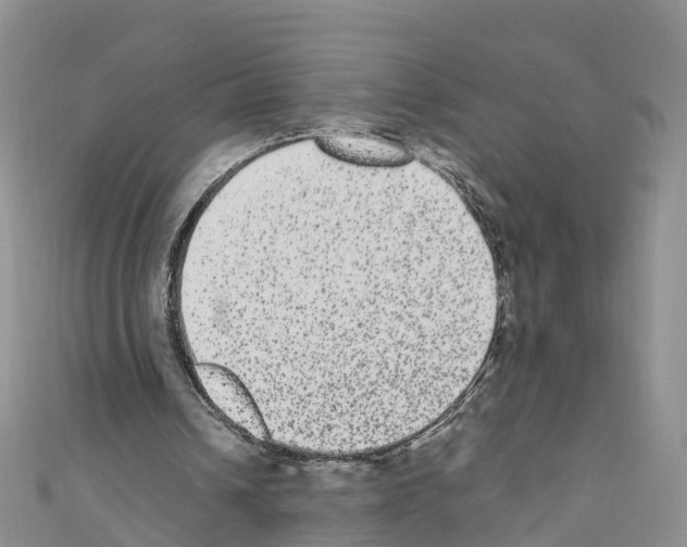 X0000110710242200907241151