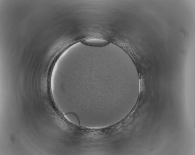 X0000110710243200907241151