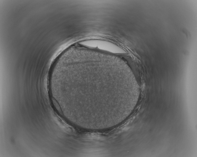 X0000110710244200907241151
