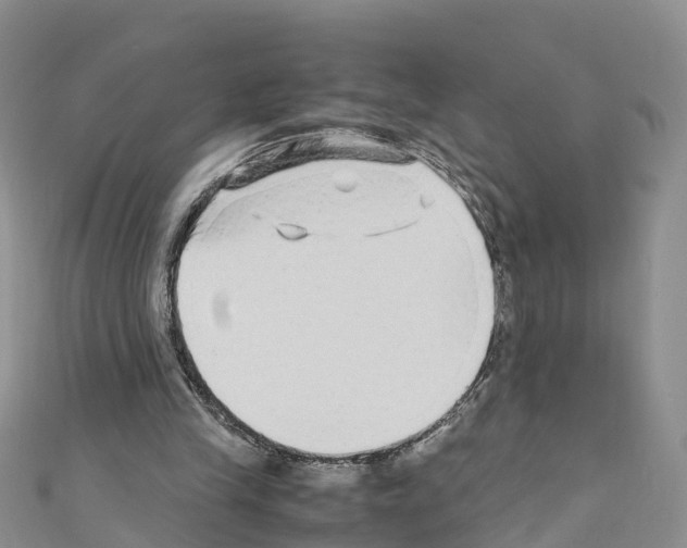 X0000110710245200907241151