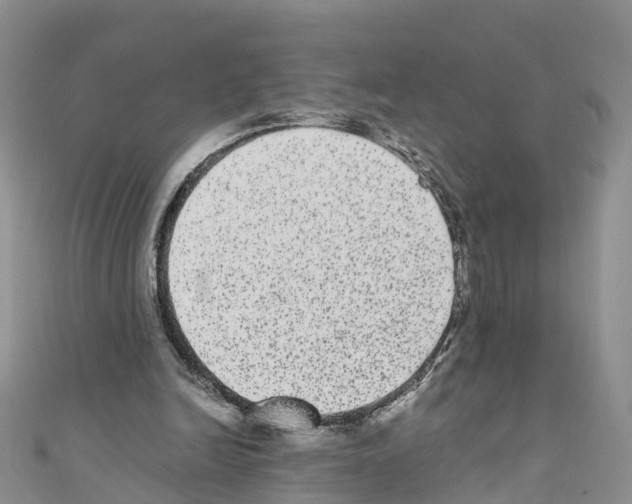 X0000110710246200907241151