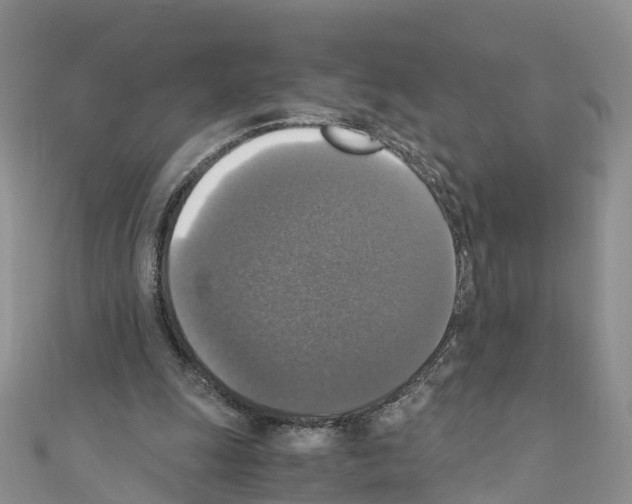 X0000110710247200907241151