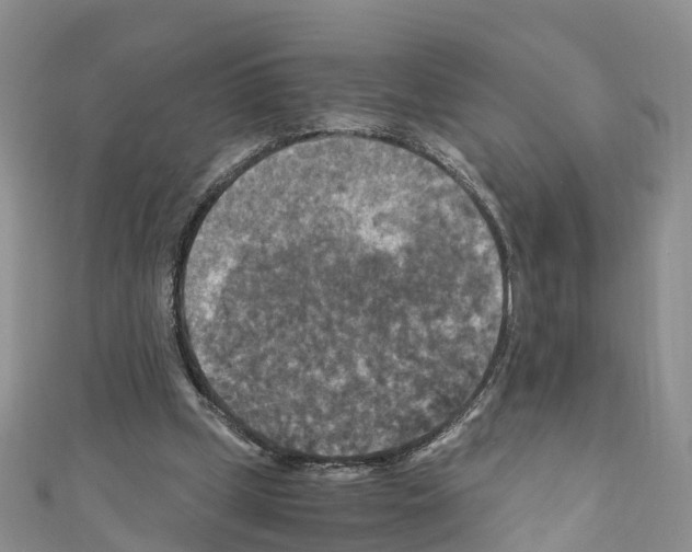 X0000110710249200907241151