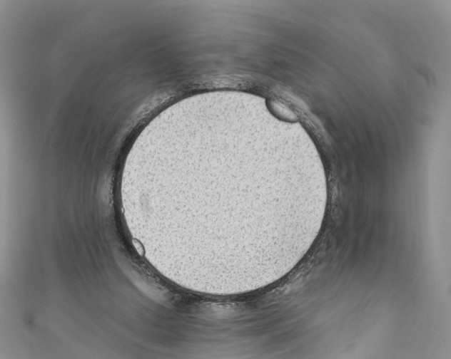 X0000110710250200907241151