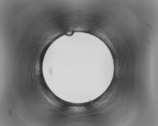X0000110710251200907241151