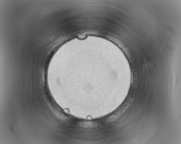 X0000110710253200907241151