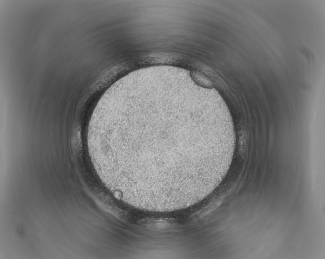 X0000110710254200907241151