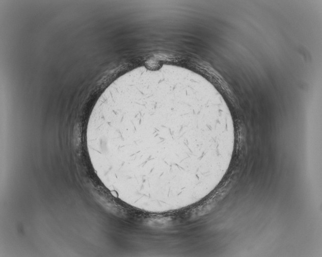 X0000110710257200907241151