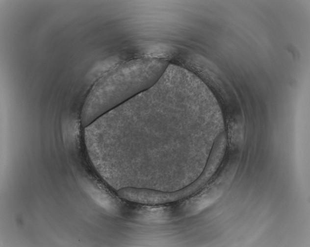 X0000110710260200907241151