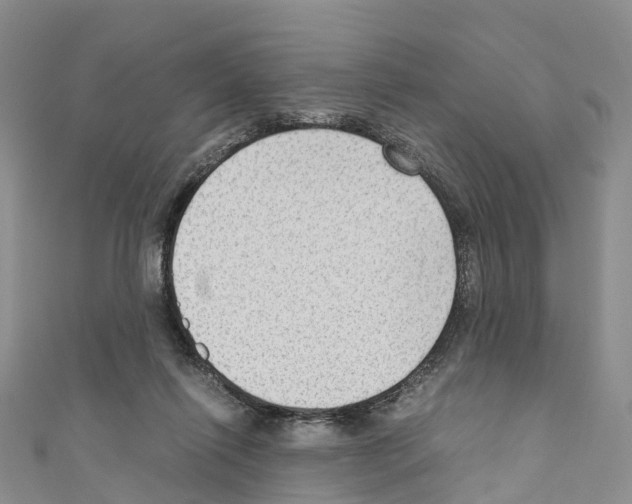 X0000110710262200907241151