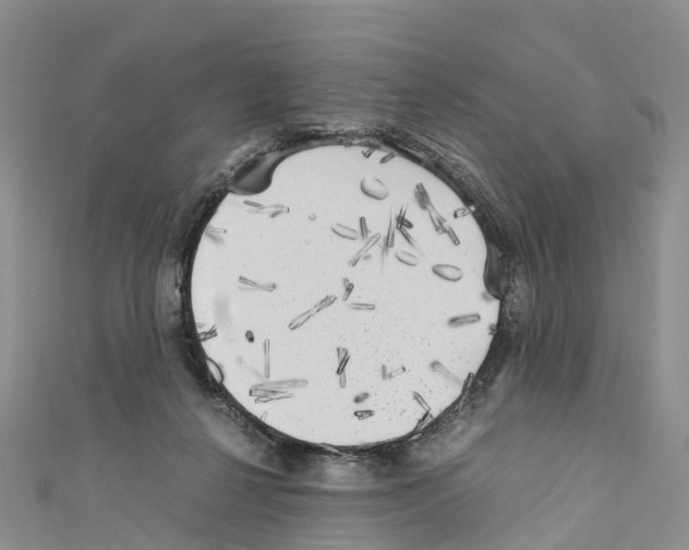 X0000110710264200907241151