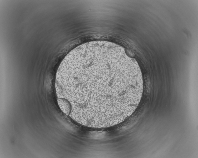 X0000110710266200907241151