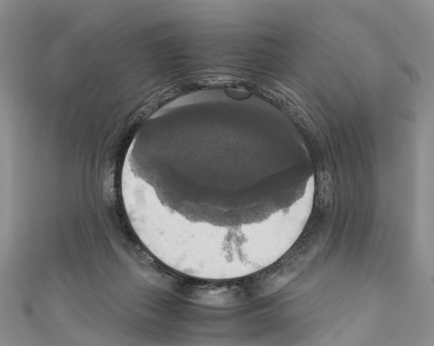 X0000110710267200907241151
