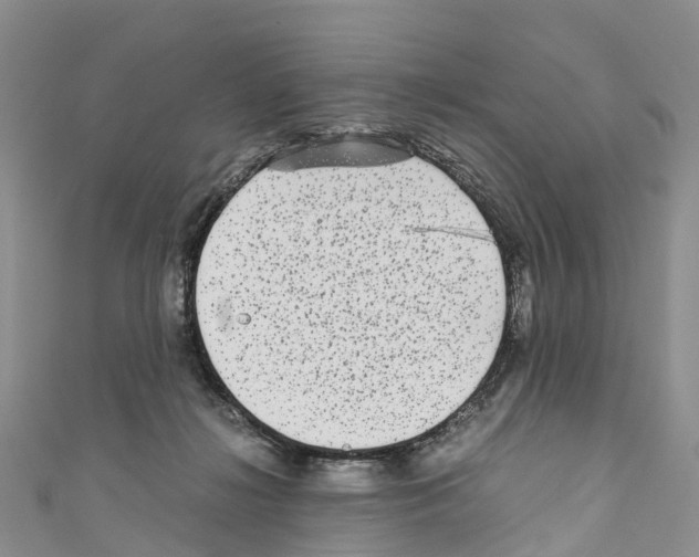 X0000110710268200907241151