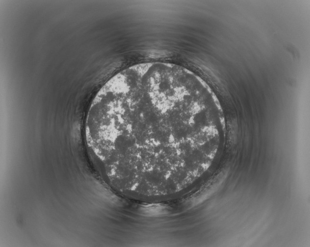 X0000110710269200907241151